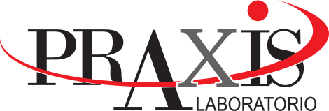 Laboratorio Praxis